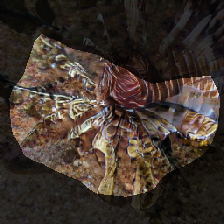 layer0-1331