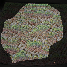 layer0-530