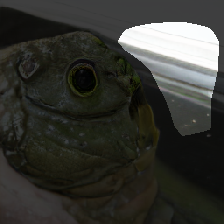 layer0-360
