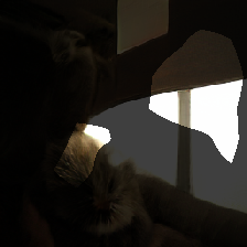 layer0-1121