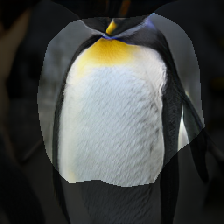 layer0-1332