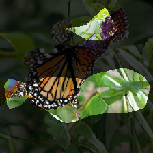 layer0-362