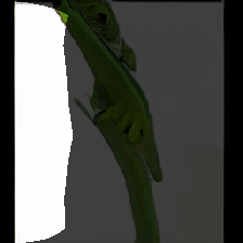layer0-734