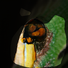 layer0-184