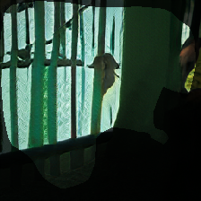 layer0-364