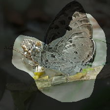 layer0-186