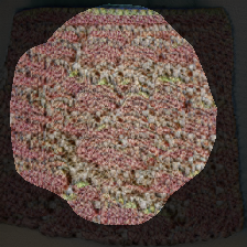 layer0-1124