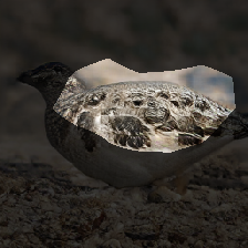 layer0-737