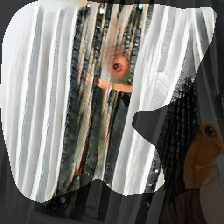 layer0-535