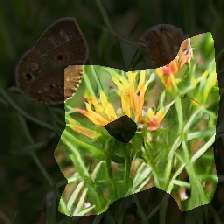 layer0-366