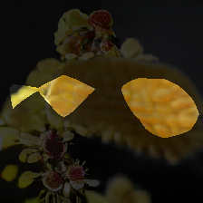 layer0-366