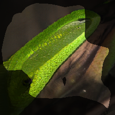 layer0-738