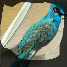 layer0-738