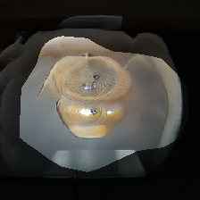 layer0-1337