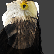 layer0-536