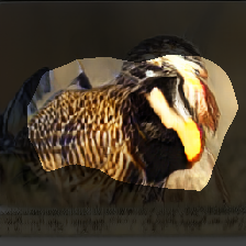 layer0-833