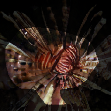 layer0-833