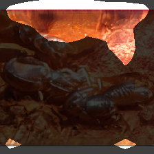 layer0-740