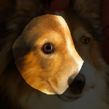 layer0-537