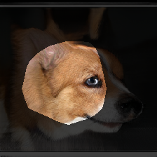 layer0-537
