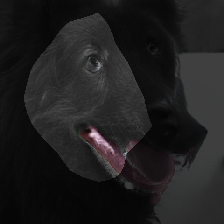 layer0-537