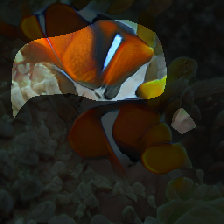 layer0-741
