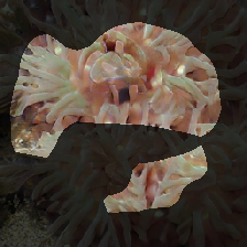 layer0-741