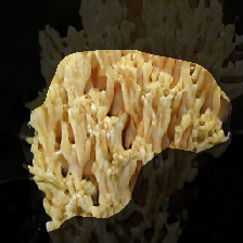 layer0-741