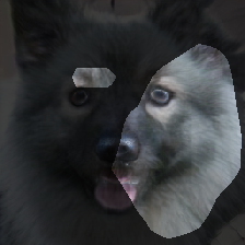 layer0-1341