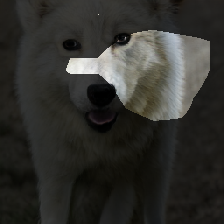 layer0-1341