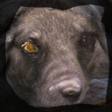 layer0-192