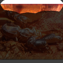 layer0-372