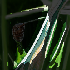 layer3-367