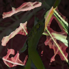 layer3-367
