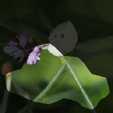 layer0-373
