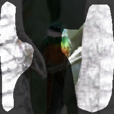layer0-1343