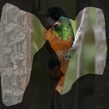 layer0-1343
