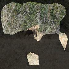 layer0-374