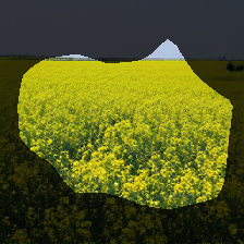 layer0-834