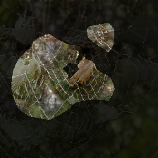 layer0-1131
