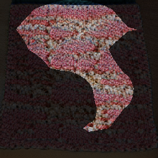 layer0-1132