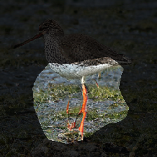 layer0-1133