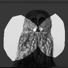 layer0-378