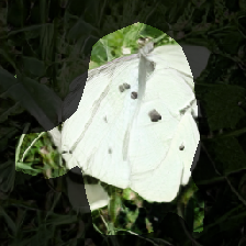 layer0-1347
