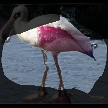 layer0-541