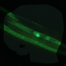layer0-1348