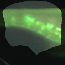 layer0-1348