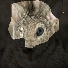layer0-543