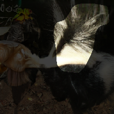 layer0-543