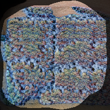layer0-835